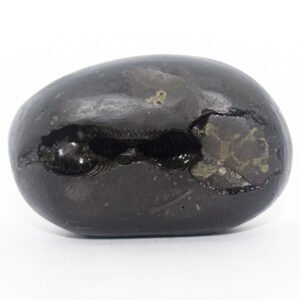 Nepali Shaligram