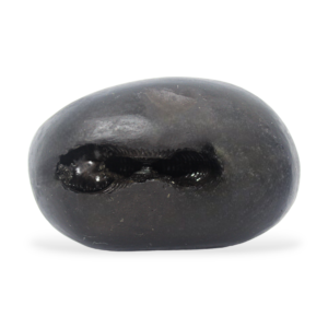 lakshmi narsimha shaligram Shaligram Kshetra.com