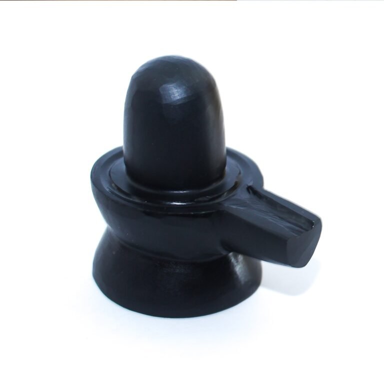 Shaligram Shivling Guide 1 SHALIGRAM SHIVLING