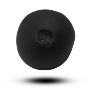 tilak hiranyagarbha shaligram shila