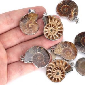 AMMONITE PENDANT