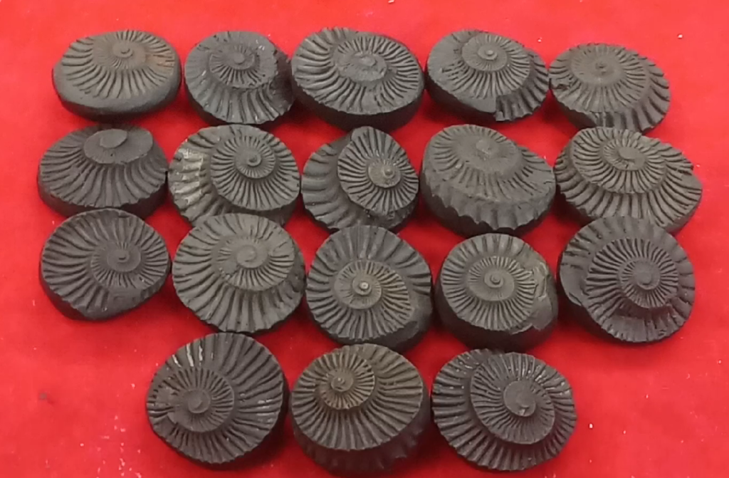 SUDARSHAN SHALIGRAM