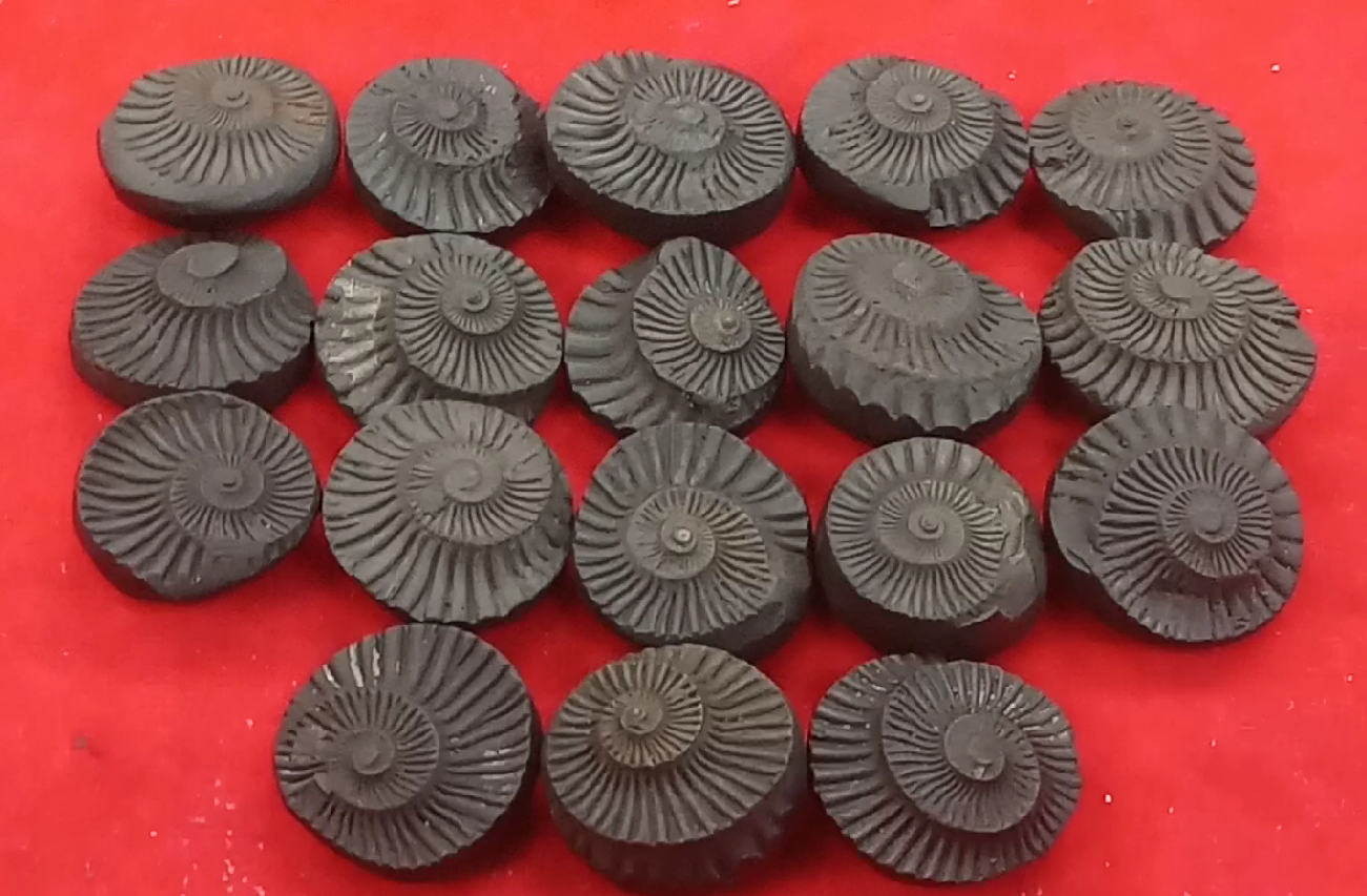 Sudarshan Shaligram Guide 1 SUDARSHAN SHALIGRAM