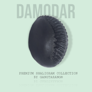 Damodar