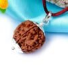 Nepali Rudraksha in Silver Pendant