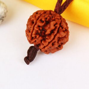 Nepali Rudraksha