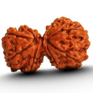 gauri-shankar-rudraksha