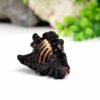 shani shankh Shaligram Kshetra.com