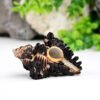 shani shankh Shaligram Kshetra.com