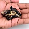 shani shankh Shaligram Kshetra.com