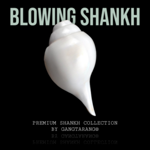 Vamavarti Shankh (Blowing)