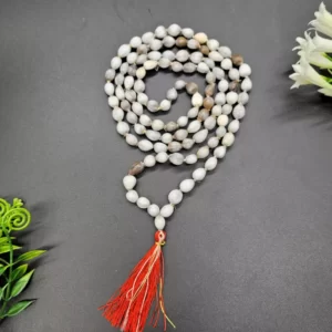 Vaijanti Mala