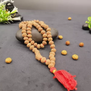 Rudraksha Mala