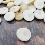 GOMTI CHAKRA by Gangtarang®: For Lakshmi Pooja, Wealth, Luck, Astrology (108 Pieces)
