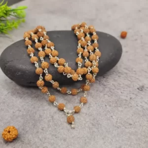 Rudraksha Mala in Silver