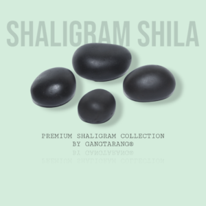 Shaligram Shila