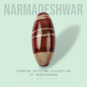 Narmadeshwar Shivling