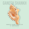 ganesh shankh Shaligram Kshetra.com