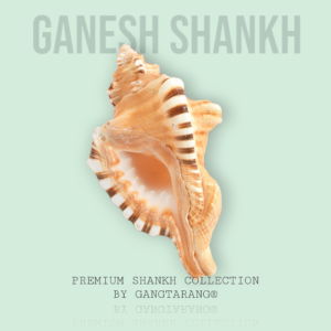 Ganesh Shankh