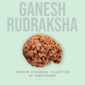 Ganesh Rudraksha